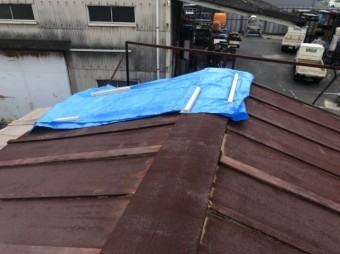 屋根ブルーシートかけ