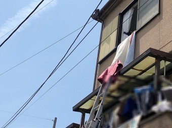 はしごで点検