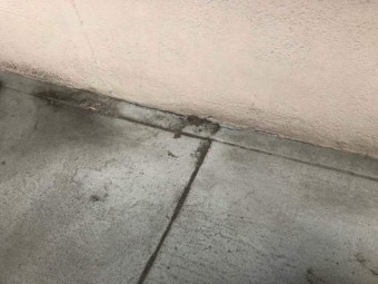 防水めくれた
