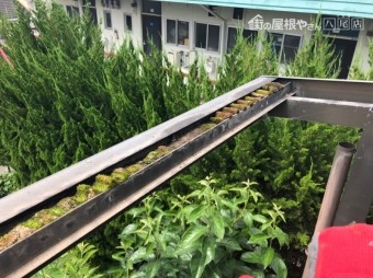 2F波板樋ゴミつまり