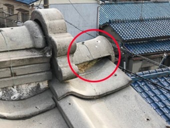 巴瓦_漆喰_状態
