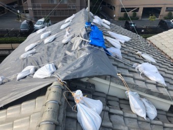 屋根に上り調査