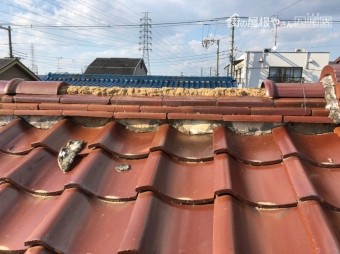 棟瓦が飛んでしまった