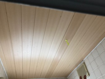 あまもり
