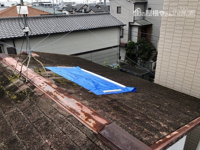 屋根養生