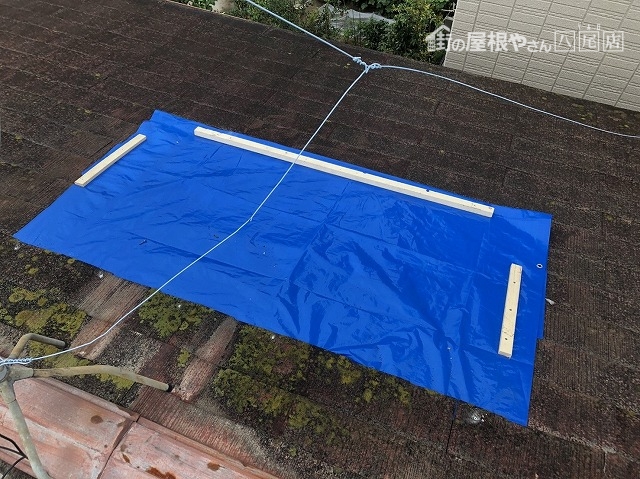 屋根養生