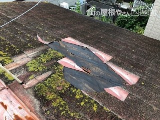 カラーベスト