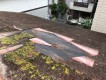 屋根被害