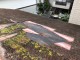 屋根被害