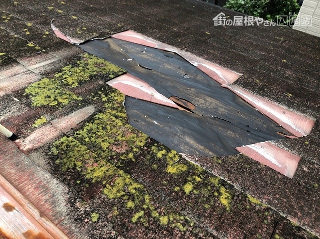 屋根に苔