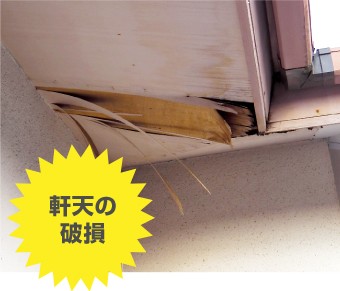 台風被害:軒天の破損