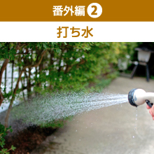 番外編2 打ち水