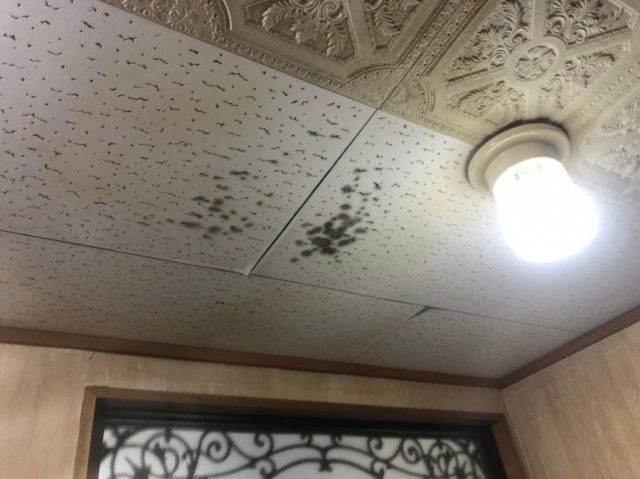 天井に雨漏りのシミ