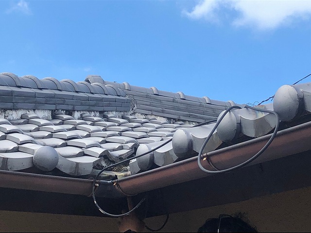 屋根の上から雨漏り点検