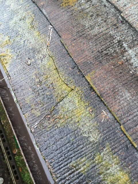 平野区でひび割れ・コケの屋根。無駄な塗装を防ぎカバー工法で雨漏り解決！