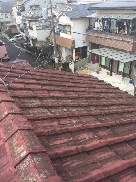 【柏原市法善寺】屋根のコケ・色あせを「カバー工法（重ね葺き）」で解決！塗装よりコスパが良い理由