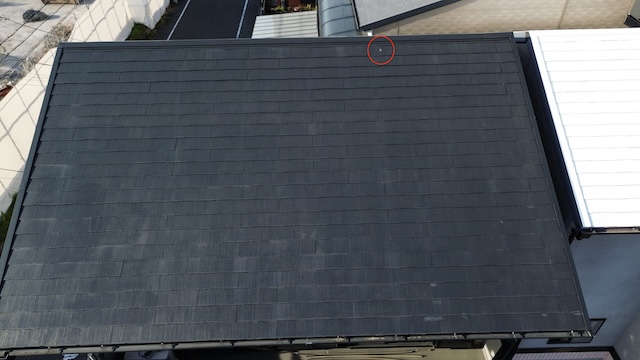 【大阪市東住吉区】屋根に白い謎の物体　戸建て・鳥の死骸撤去と費用を公開