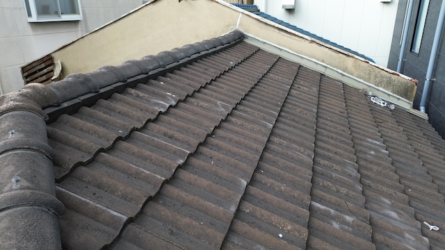 柏原市法善寺の屋根に見られる複合的な劣化状況