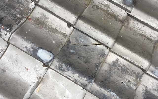 【東大阪市】瓦の割れと棟の草は屋根のSOS！葺き替えで叶える一生モノの安心診断