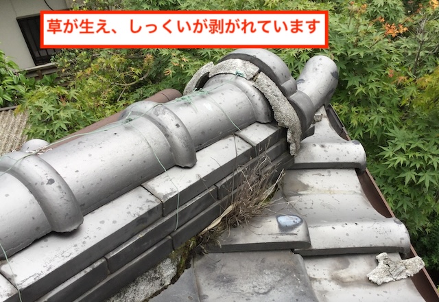 棟のしっくいが剥がれ、内部の土から草が生えてしまっている深刻な状況（東大阪市）