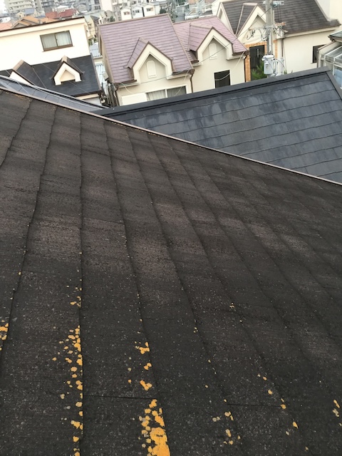 八尾市山本町で屋根塗装は損？築25年の賢い選択はカバー工法【費用公開】