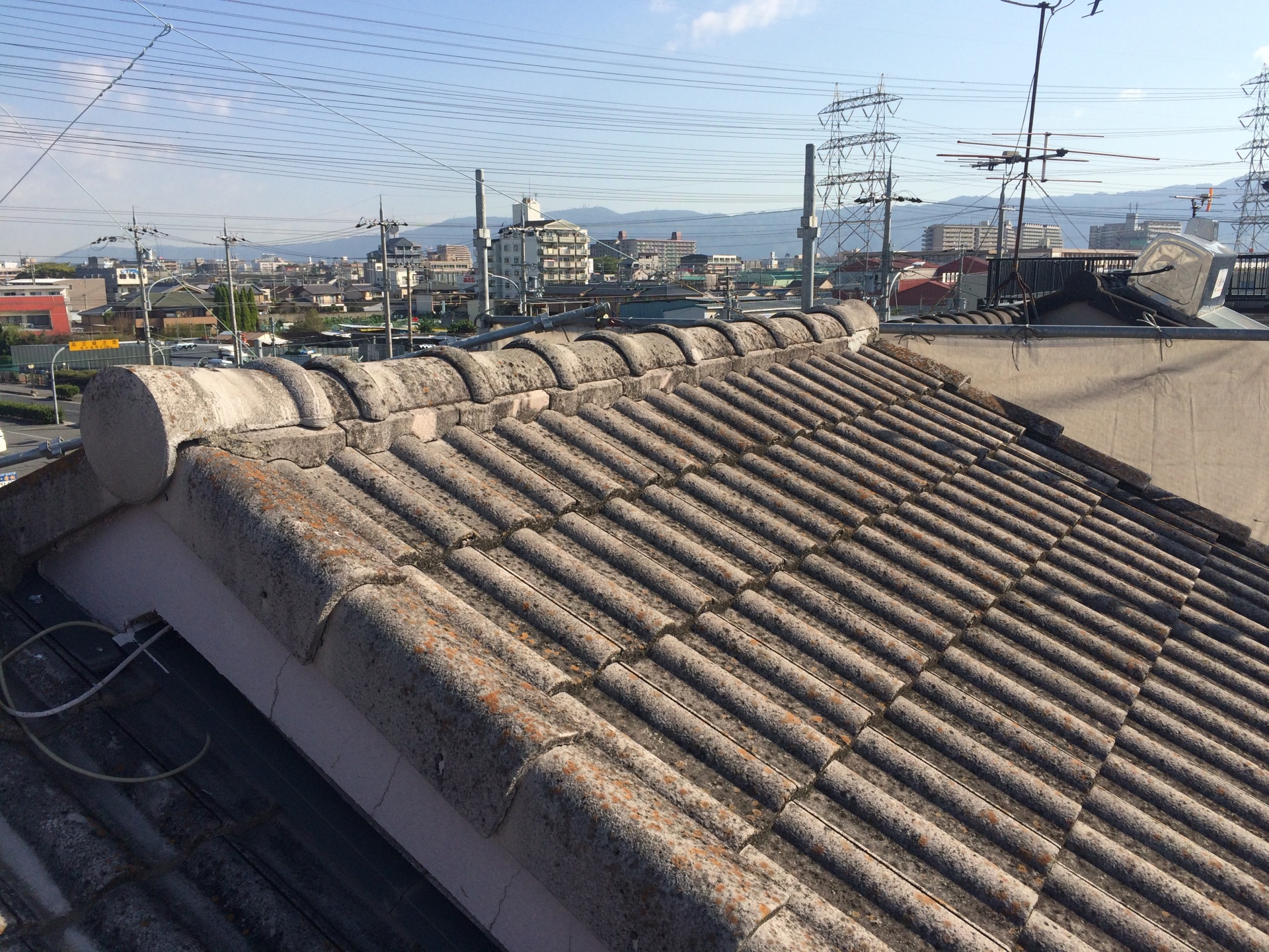 【新・八尾店始動】八尾市中田で「屋根のコケ」を徹底調査！セメント瓦のSOS、見逃していませんか？