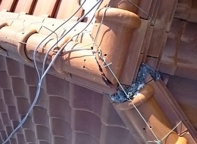 八尾市での屋根点検事例。隅棟の漆喰（しっくい）が経年劣化で割れ、剥がれ落ちかけている状態。