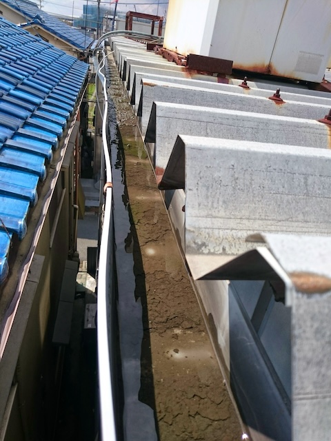 【八尾市の工場・倉庫】その雨漏り、屋根の「血管詰まり」が原因です！折板屋根のサビ・雨樋（あまどい）詰まり緊急調査