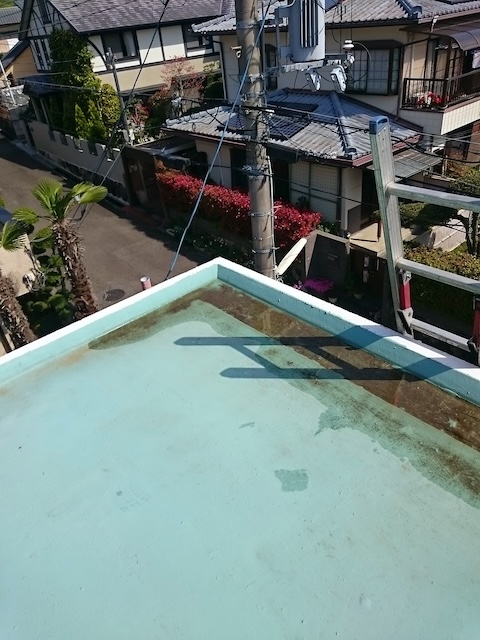 陸屋根防水層上の堆積ゴミとコケ・劣化状況の確認