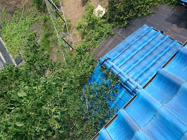 東大阪市の屋根点検、軒先と雨樋周辺の劣化状況を確認