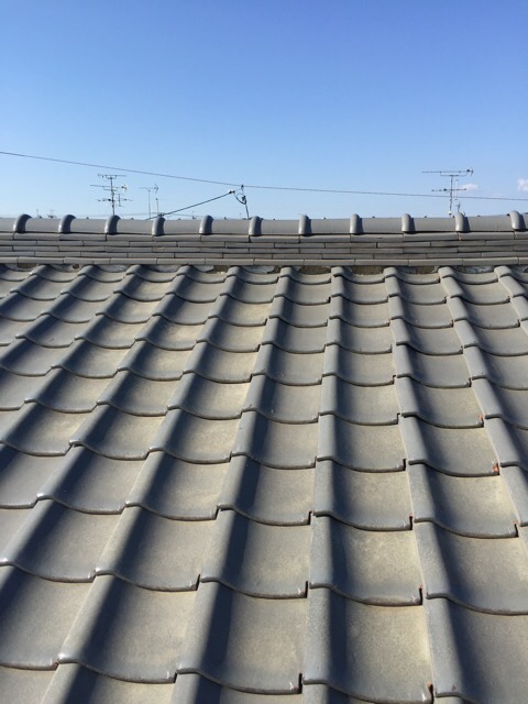 【八尾市青山町】雨漏りのサイン？瓦屋根の白い土（漆喰）剥がれとサビの無料点検と解決策