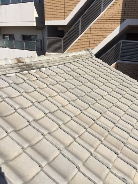 羽曳野市古市での屋根調査。瓦の隙間の状態をお客様に写真で報告