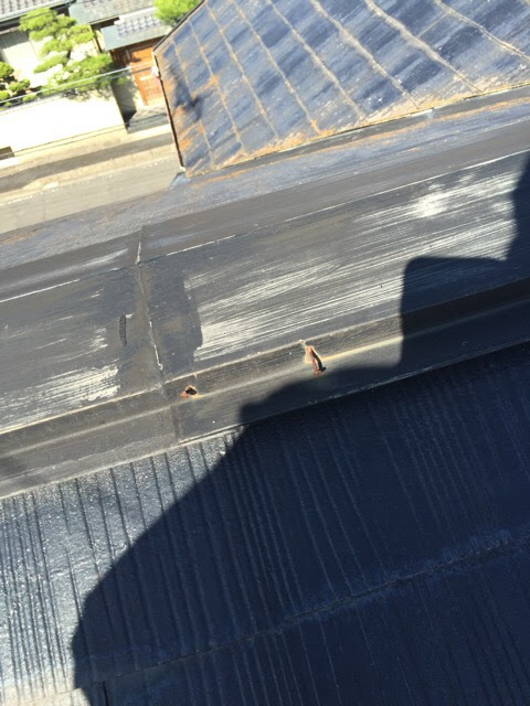 棟板金（屋根のてっぺんの金属カバー）からサビた釘が飛び出している危険な状態