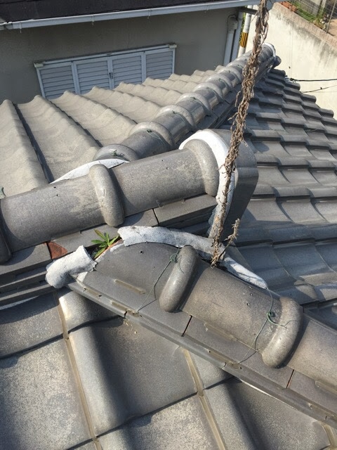 【羽曳野市】屋根から草が！漆喰の剥がれと雨漏り不安を解消する安心修理
