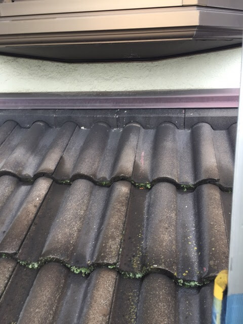 瓦の隙間に苔が繁殖している様子（富田林市の屋根調査）