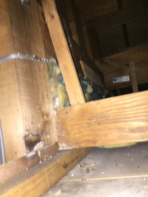 東大阪市の屋根裏で確認された柱の変色と構造材の腐食