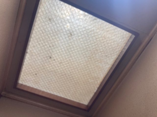 八尾市で天窓から雨漏りしたので屋根点検に行ってきました