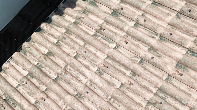 藤井寺市の屋根調査。瓦に広がるコケと固定釘の浮きをプロが確認