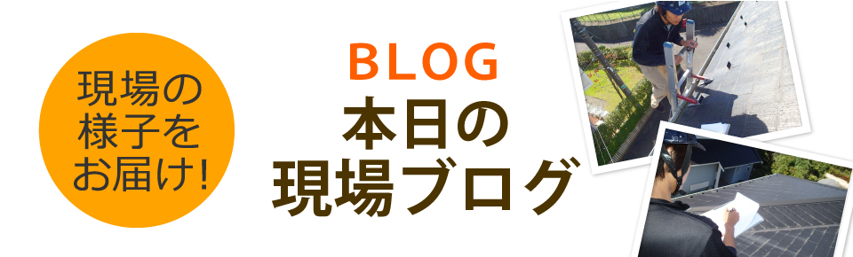 八尾市、東大阪市、柏原市、大阪市平野区やその周辺エリア、その他地域のブログ