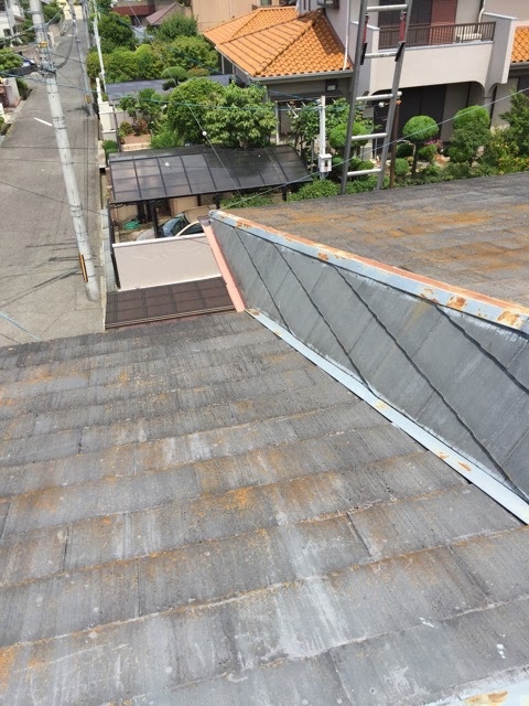 錆びた棟板金と屋根全体