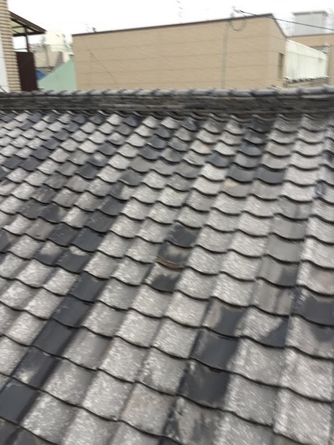 大阪市此花区で瓦屋根と錆びたトタン波板屋根の取り合いを調査し谷板金の汚れと瓦のズレを確認
