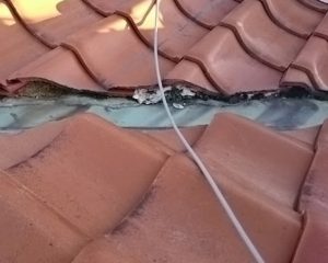 八尾市の現場。谷板金の溝に剥がれた漆喰が詰まっている様子。このまま放置すると雨水が溢れ、雨漏りの原因となるため清掃が必要。