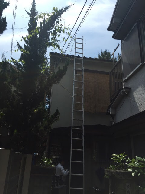 大阪市平野区の屋根点検。屋根の近くに背の高い樹木がある立地環境
