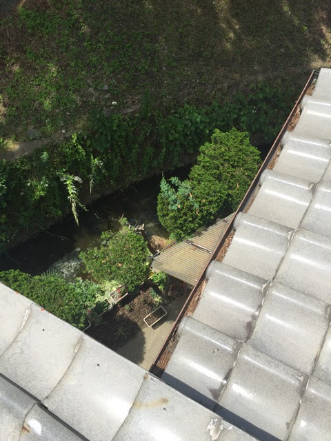 大阪市平野区の屋根上から見た雨樋。落ち葉や土ぼこりが溜まりやすい環境