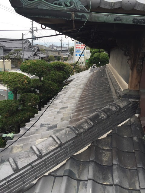 【堺市西区】雨漏り修理で天井のシミを解決！費用8割減の部分補修