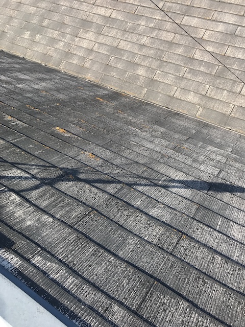 屋根に点在する橙色付着物