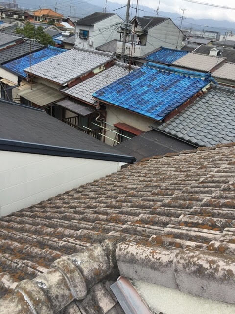 大阪市大正区で屋根のコケ調査！塗装NGの瓦を葺き替えで根本解決