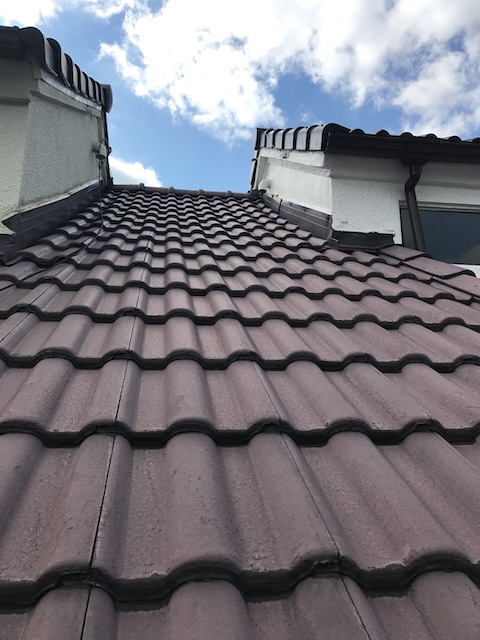 モニエル瓦の屋根面全体