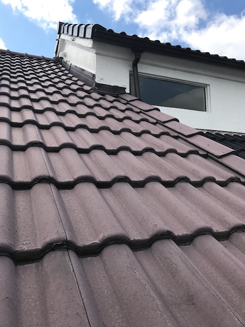 壁際付近の瓦と雨樋