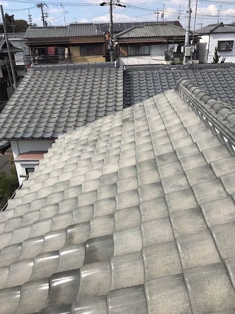 棟を挟んだ屋根全体